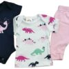 Set de 3 piezas para niña pañalero, playera, pantalón  "Dinosaurio rosa"